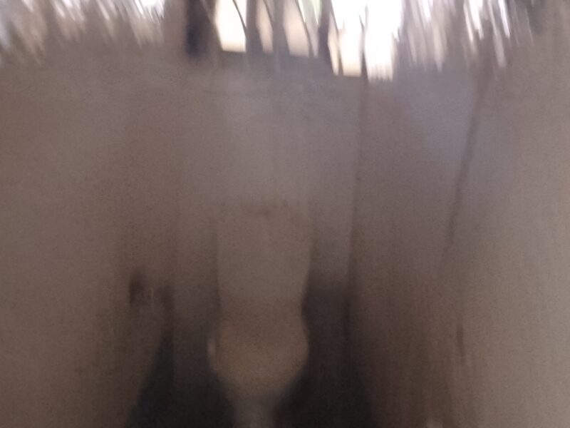 Two bedroom apartment for rent at greda estate extension