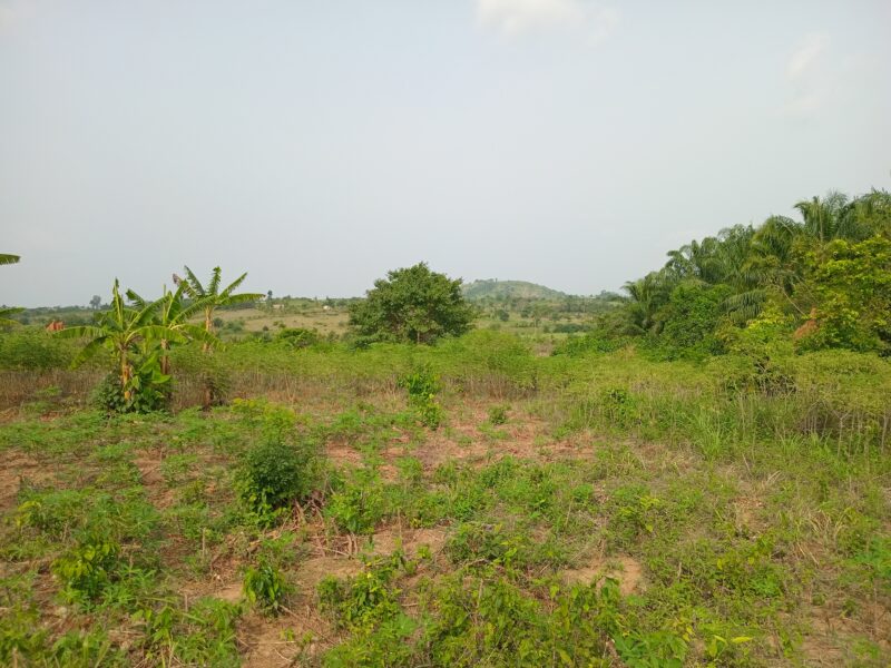 Premium Serviced Plots in Pokuase (Dedeiman) | 12-Month Interest-Free Plan |Price: GHS 130,000 (Flexible, Interest-Free Terms)