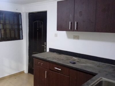 Executive one bedroom apartment for Rent