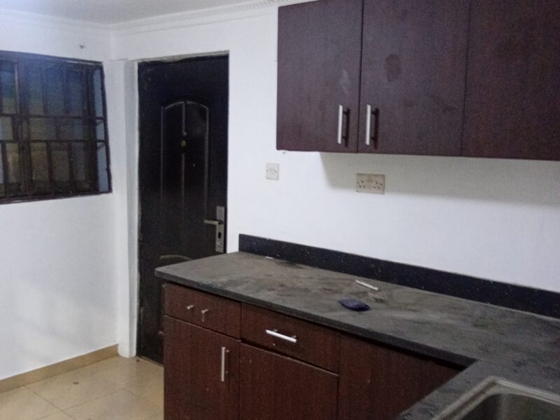 Executive one bedroom apartment for Rent