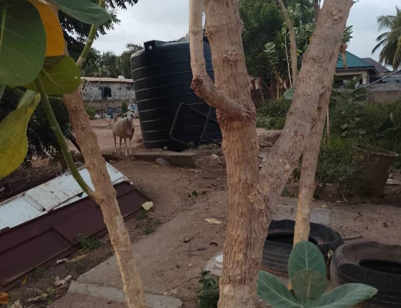 Land with six units of single room self contained for sale