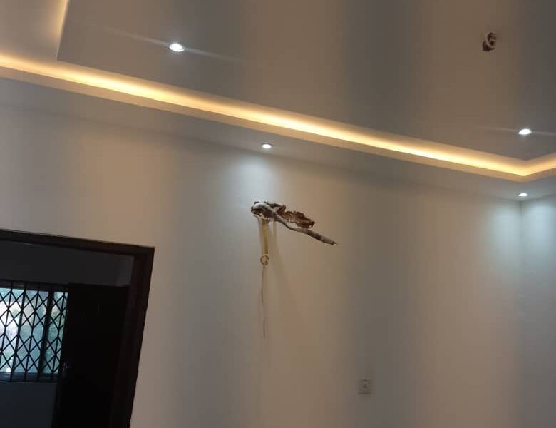 Chamber and hall self contained @Madina UN for rent