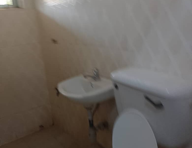 Single room self contained for rent
