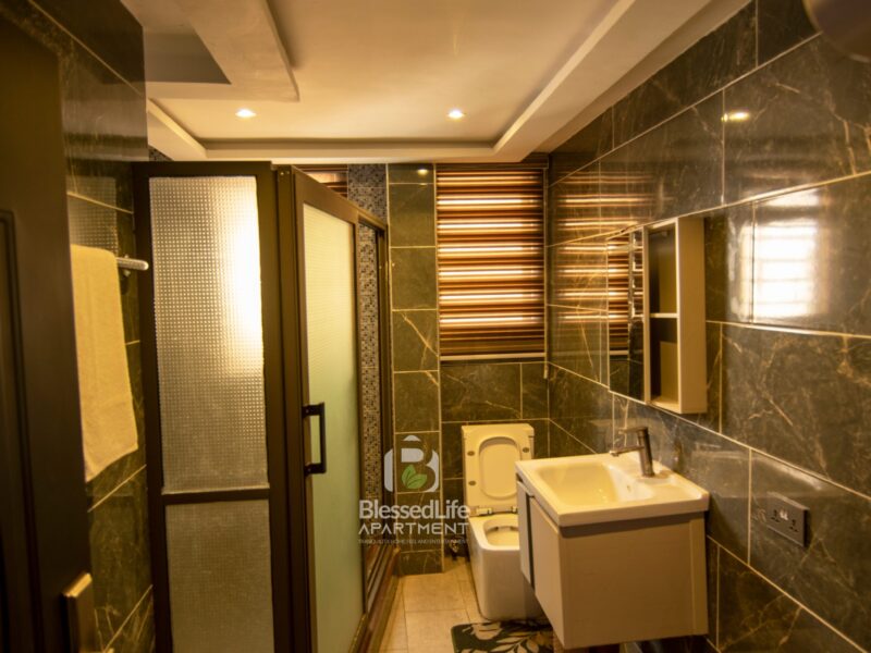 Blessed Life Luxury Home – Two Bedroom Apartment